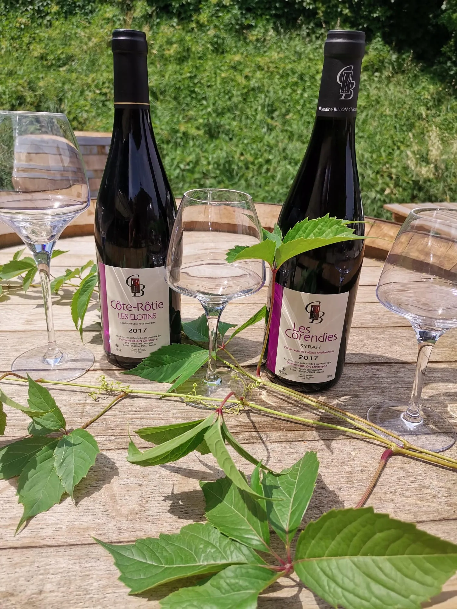 Bouteilles de vin